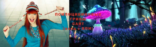 PSILOCYBIN Беломорск