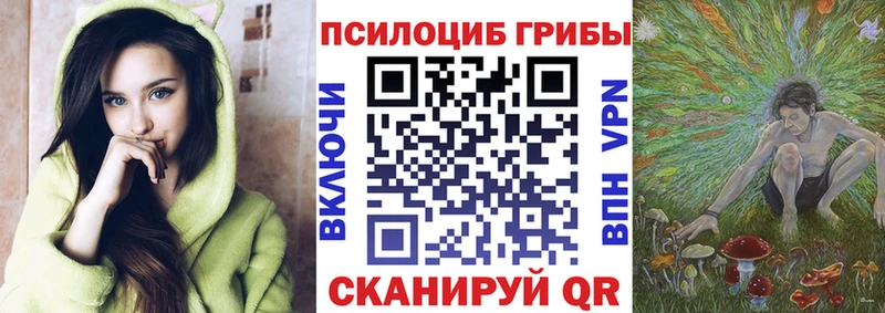 где найти   Кукмор  Псилоцибиновые грибы мицелий 